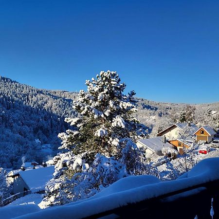 Grosse Ferienwohnung In Ruhiger Lage Mit Toller Aussicht In Triberg Triberg im Schwarzwald Екстер'єр фото