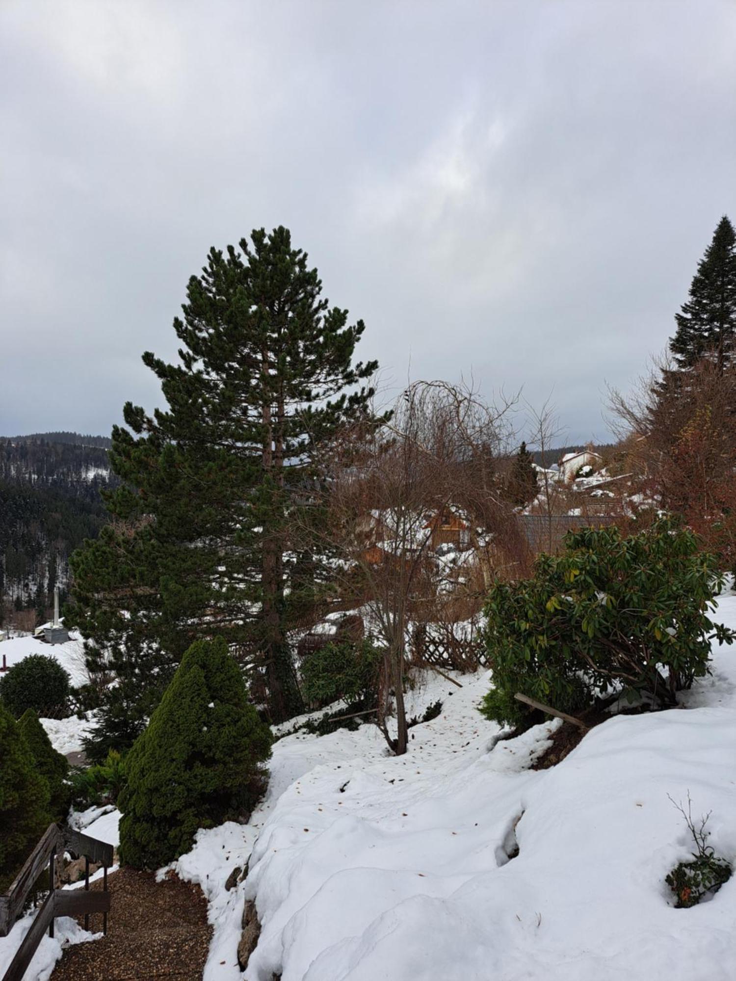 Grosse Ferienwohnung In Ruhiger Lage Mit Toller Aussicht In Triberg Triberg im Schwarzwald Екстер'єр фото