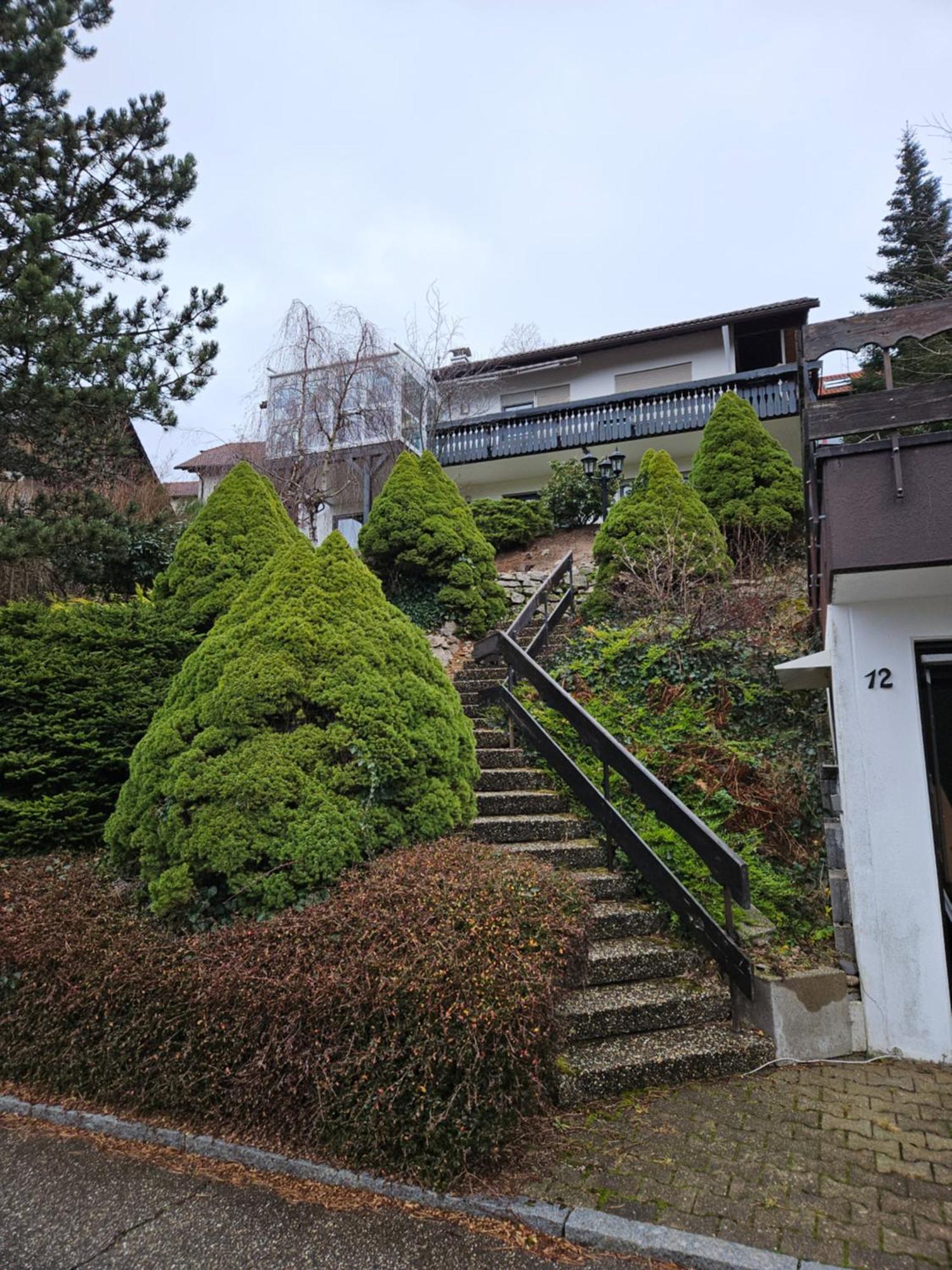 Grosse Ferienwohnung In Ruhiger Lage Mit Toller Aussicht In Triberg Triberg im Schwarzwald Екстер'єр фото